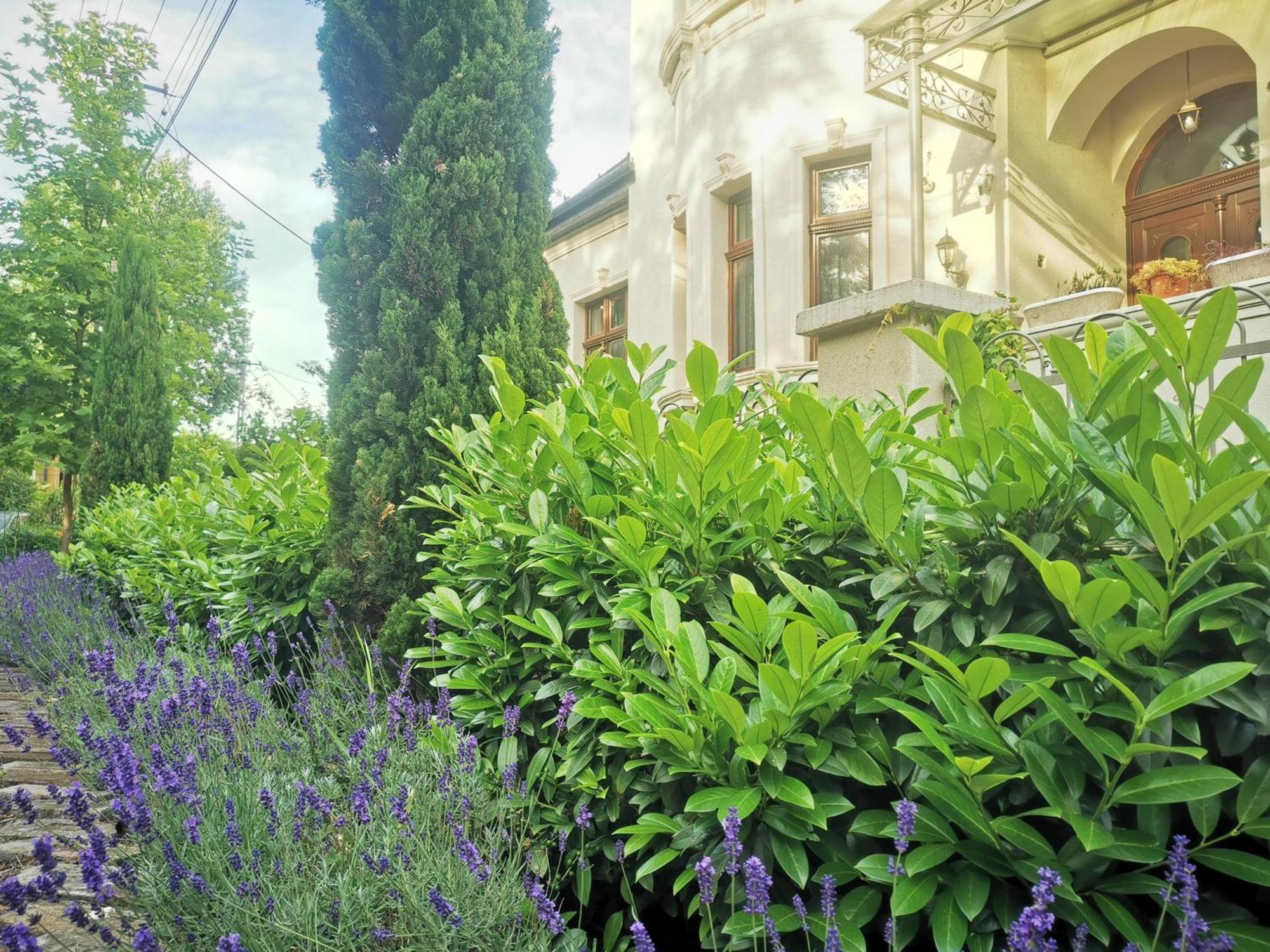 Kuria Apartman Budapest With Free Parking Εξωτερικό φωτογραφία